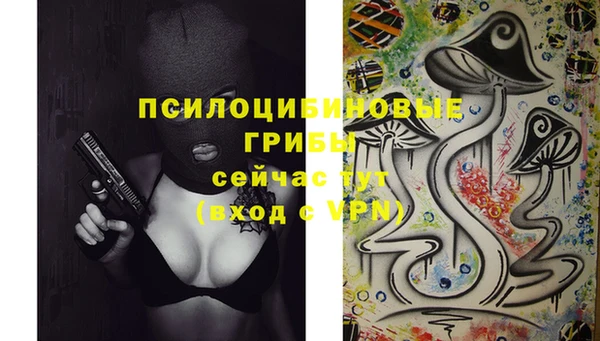 дурь Осинники