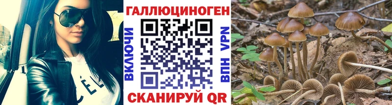 Галлюциногенные грибы мицелий  MEGA ссылки  Ликино-Дулёво  купить  